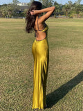 Vvsha Backless Elegant Stunner Maxi Dress